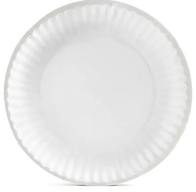 9' SXP9W DIXIE WHITE COATED PAPER PLATES